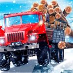 Truck Driver: Snowy Roads